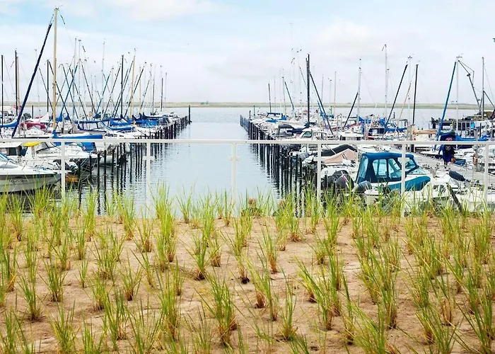 Mit Ostseeblick-sandpieper *
