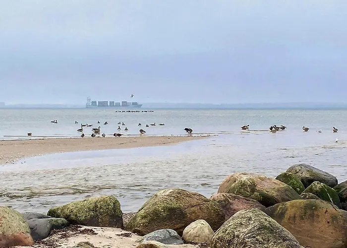 Mit Ostseeblick-sandpieper Apartamento