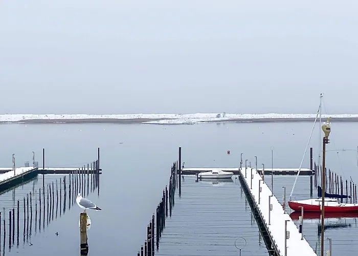 Mit Ostseeblick-sandpieper *